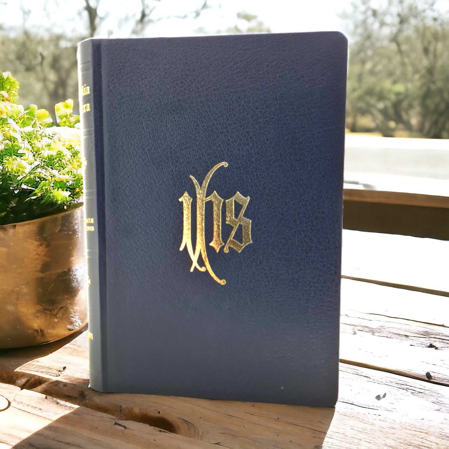 The Latin Vulgate Bible according to the 