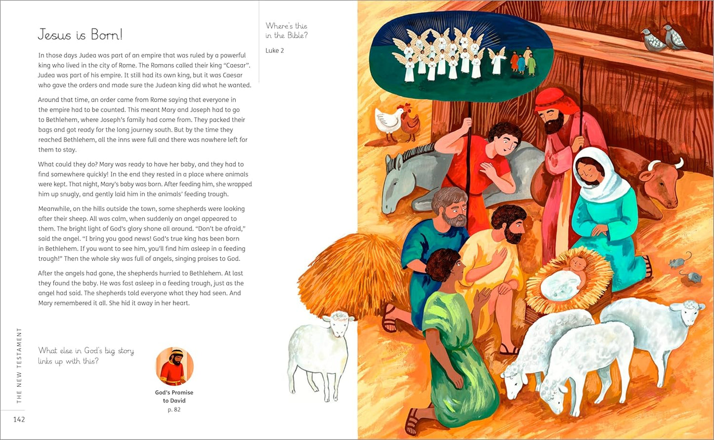 My Big Story Bible: 140 Faithful Stories, from Genesis to Revelation