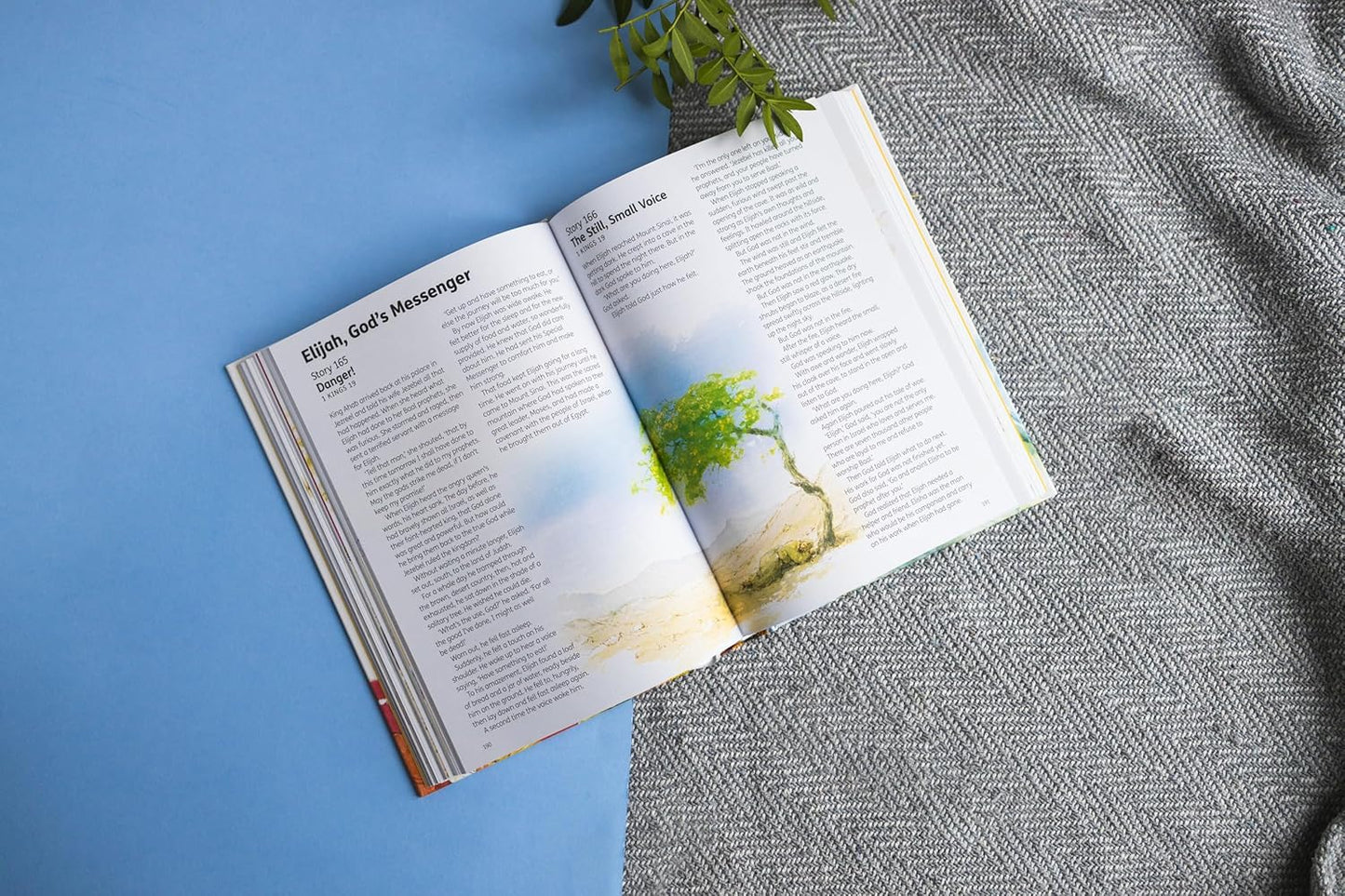 The Children's Bible in 365 Stories: A story for every day of the year