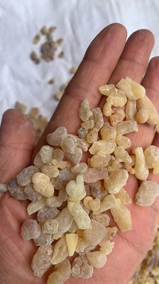 Frankincense - Pure Natural Resin