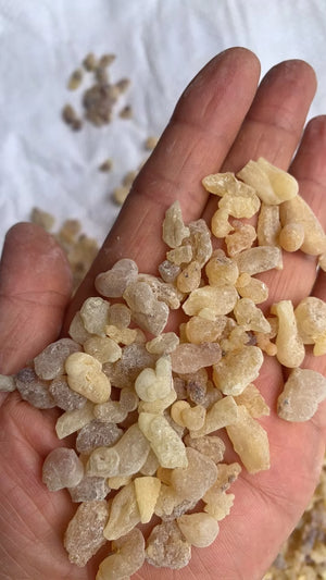 Pure Frankincense Resin — Sacred Incense for Prayer & Adoration (Various Weights) - image 3