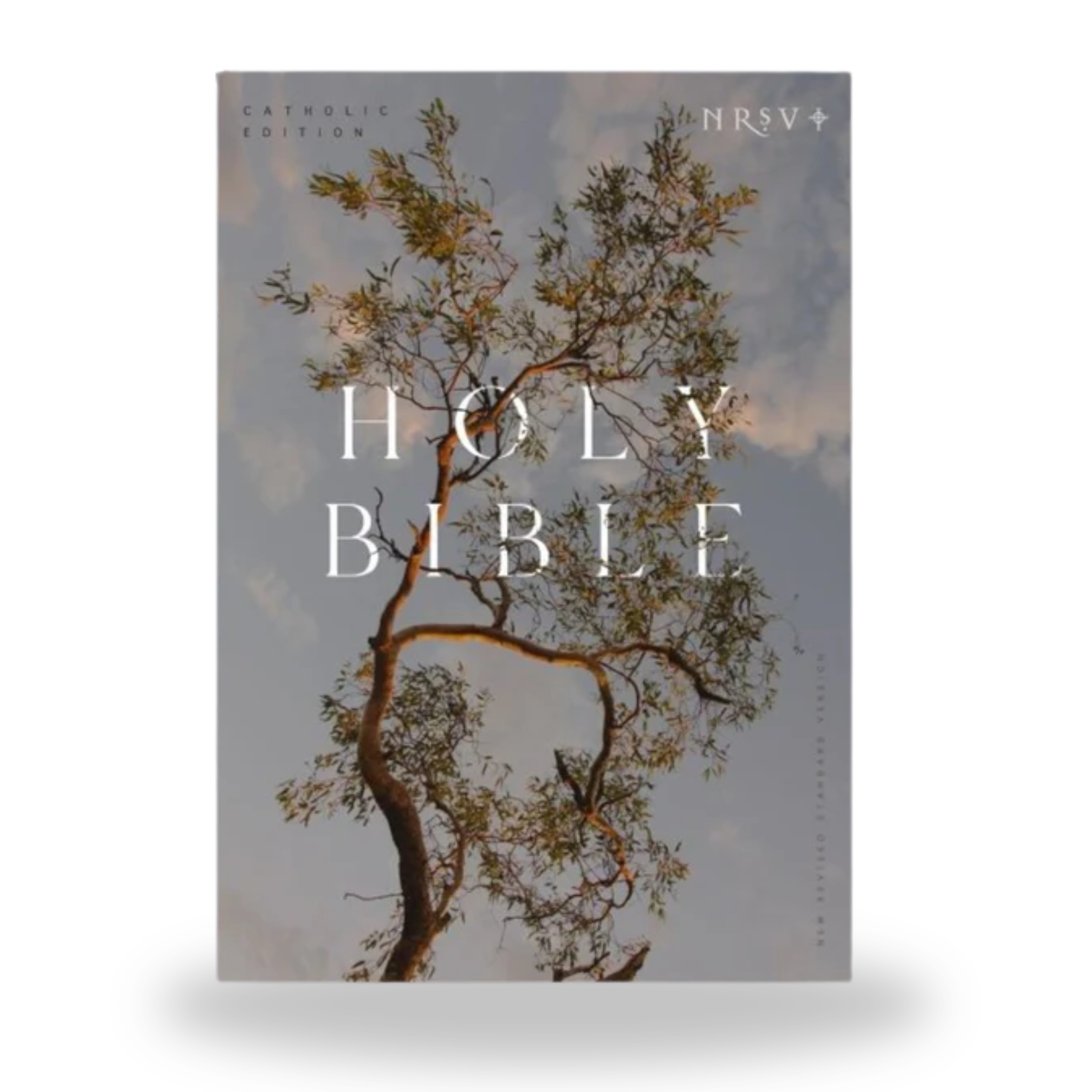 NRSV Catholic Edition Bible