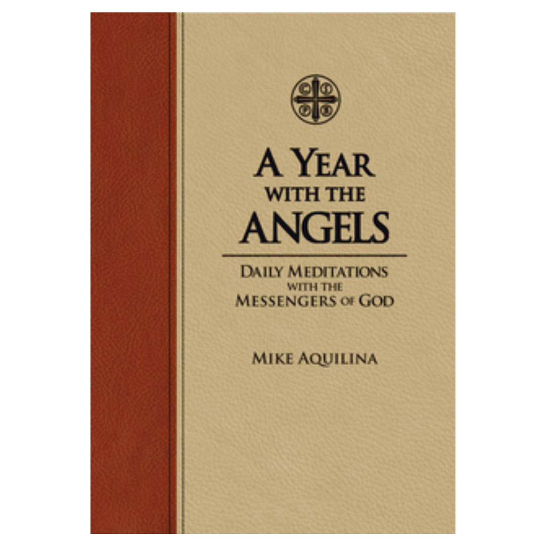 A Year With The Angels (Premium Ultrasoft cover edition) - JMJ Catholic Productsvariant