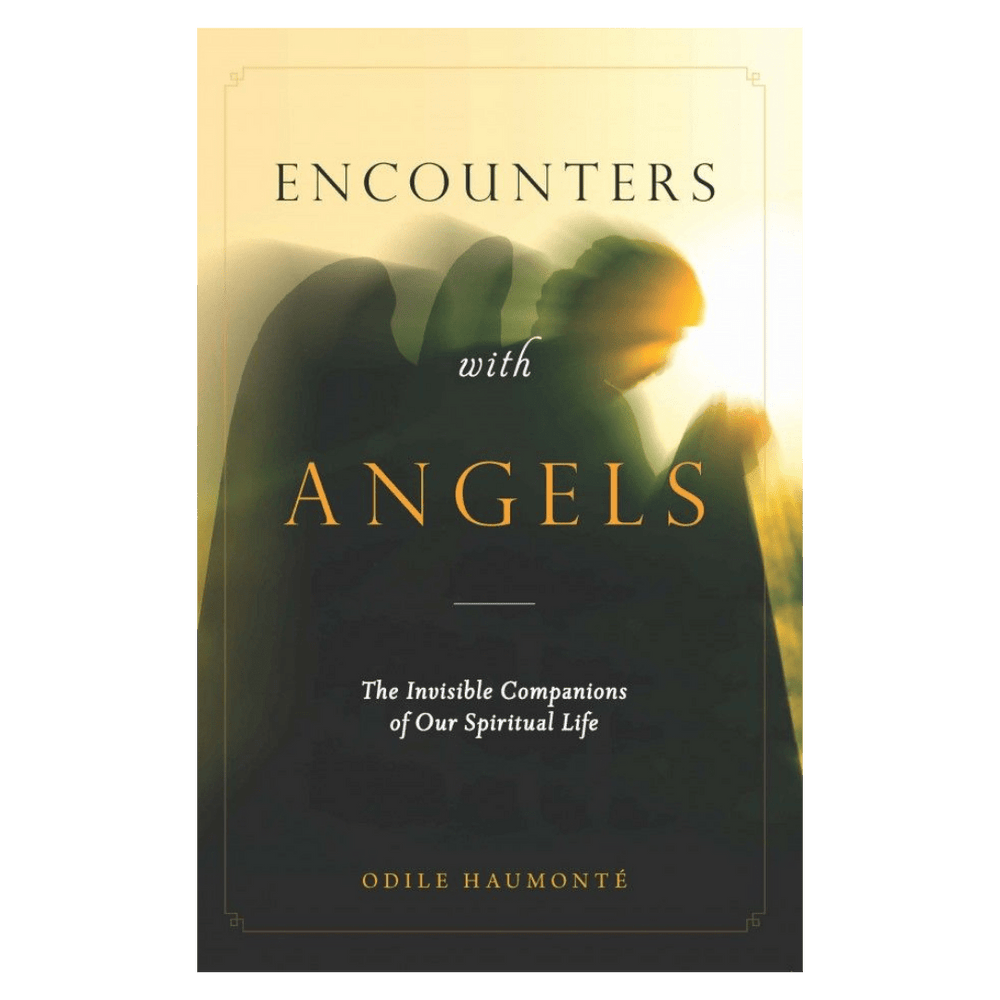 Encounters with Angels: The Invisible Companions of Our Spiritual Life - JMJ Catholic Productsvariant