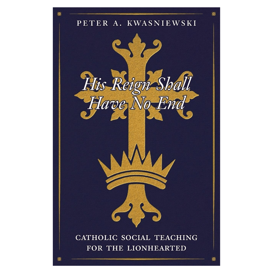 His Reign Shall Have No End: Catholic Social Teaching for the Lionhearted