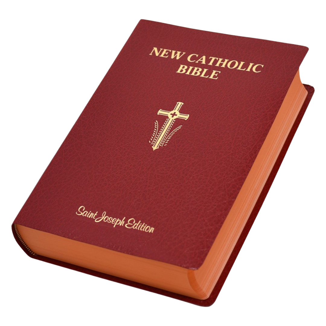 New Catholic Bible St Joseph Giant Type - Leatherette (Large Print)