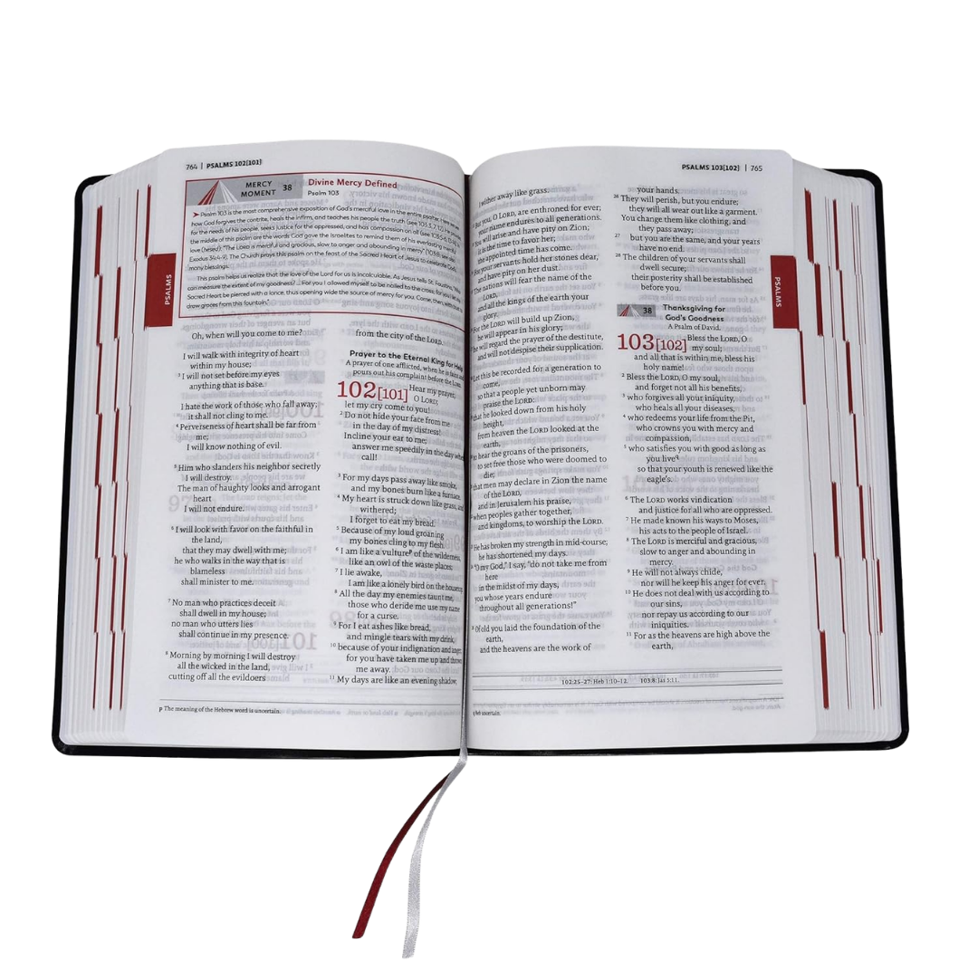 Divine Mercy Catholic Bible