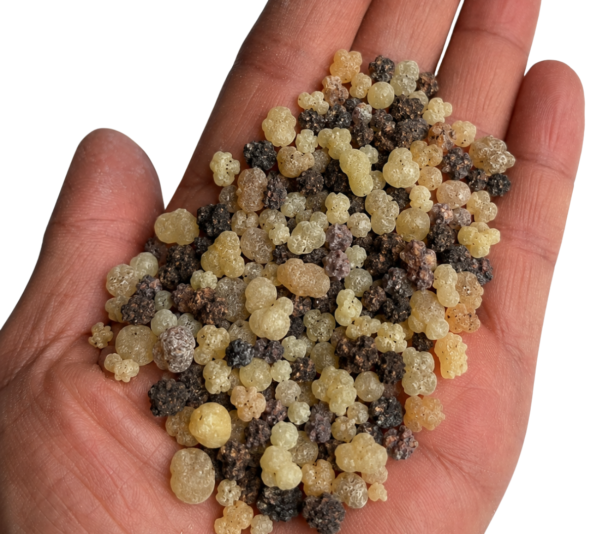 Frankincense & Myrrh Blend – Pure Natural Resin (Various Weights)