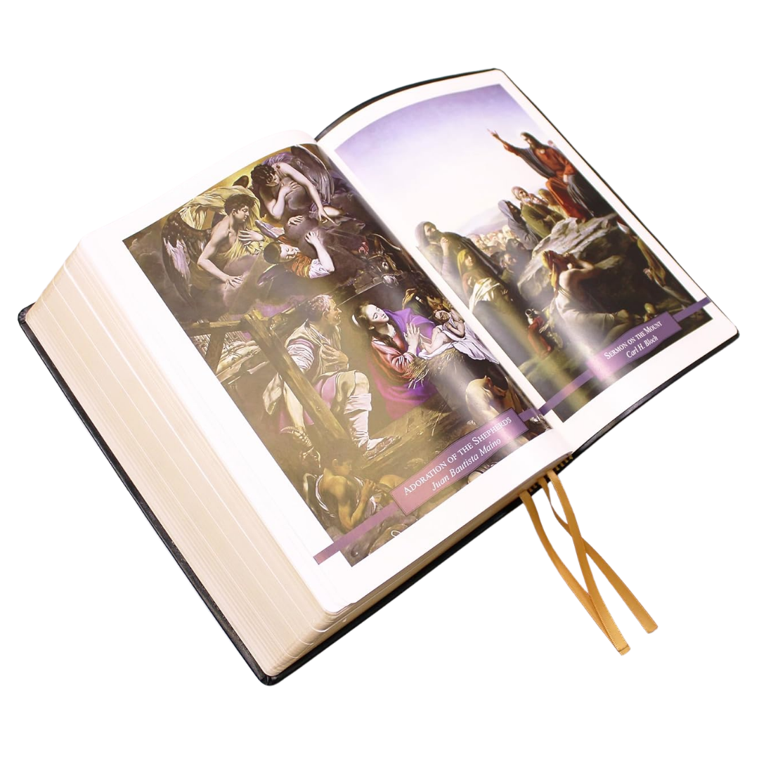 Douay-Rheims Bible - Large Print (Deluxe Leatherette Edition)