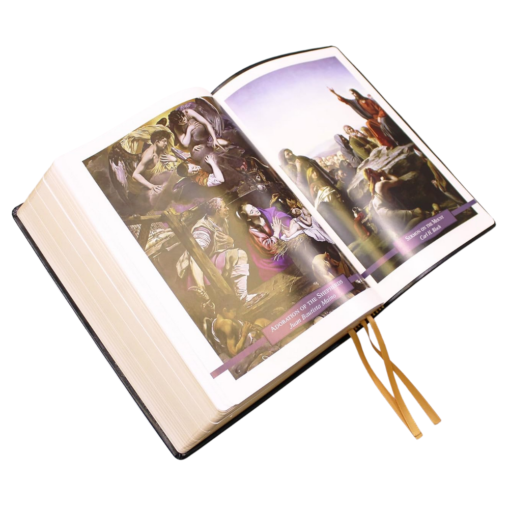 Douay-Rheims Bible - Large Print (Deluxe Leatherette Edition)