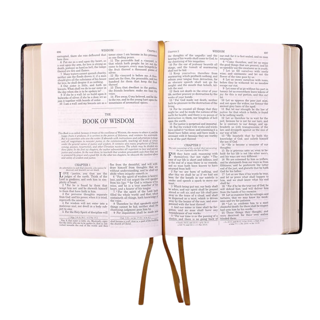 Douay-Rheims Bible - Large Print (Deluxe Leatherette Edition)