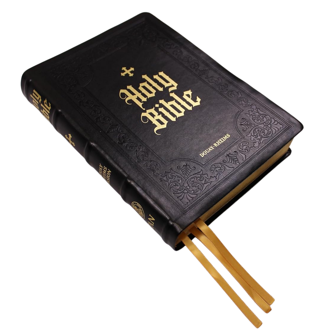 Douay-Rheims Bible - Large Print (Deluxe Leatherette Edition)