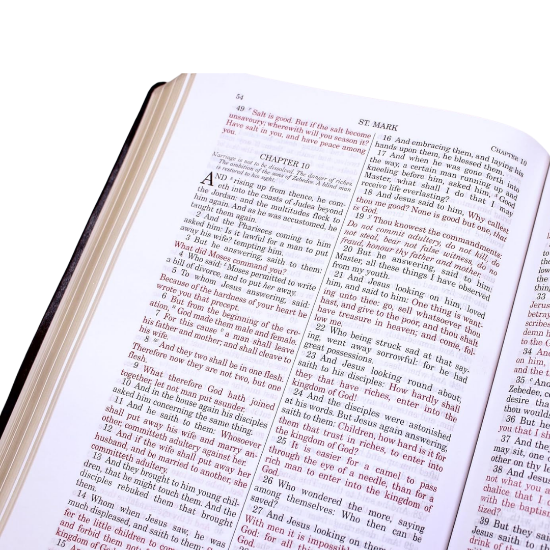 Douay-Rheims Bible - Large Print (Deluxe Leatherette Edition)