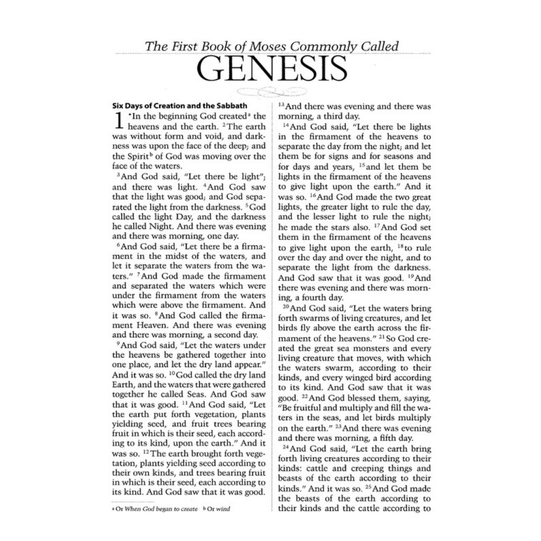 Catholic Scripture Study Bible: RSV-CE Large Print Edition