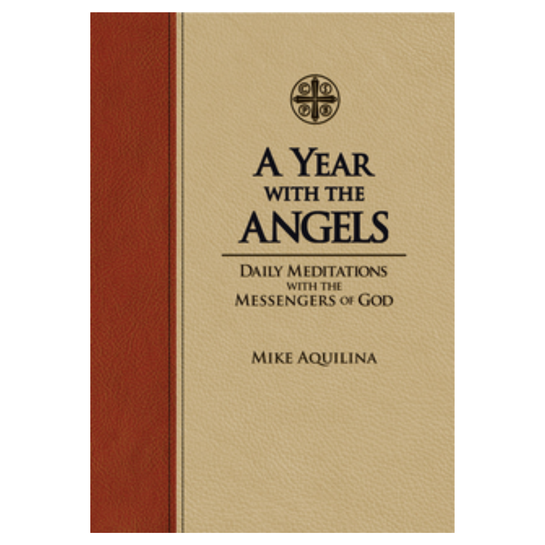A Year With The Angels (Premium Ultrasoft cover edition)