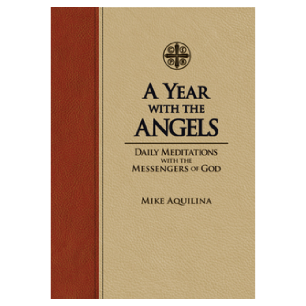 A Year With The Angels (Premium Ultrasoft cover edition)