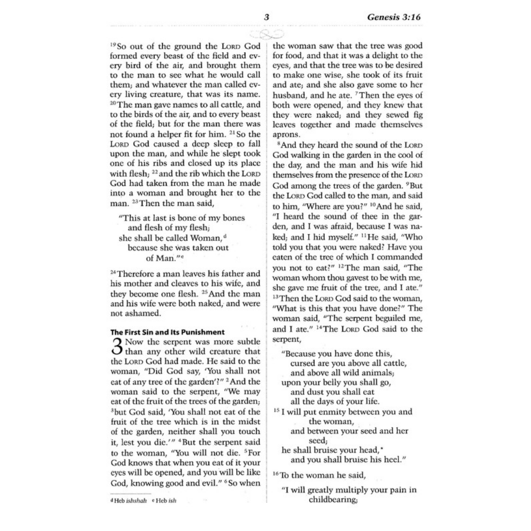 Catholic Scripture Study Bible: RSV-CE Large Print Edition