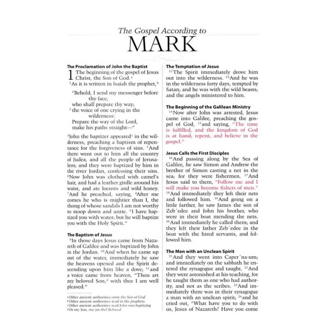 Catholic Scripture Study Bible: RSV-CE Large Print Edition