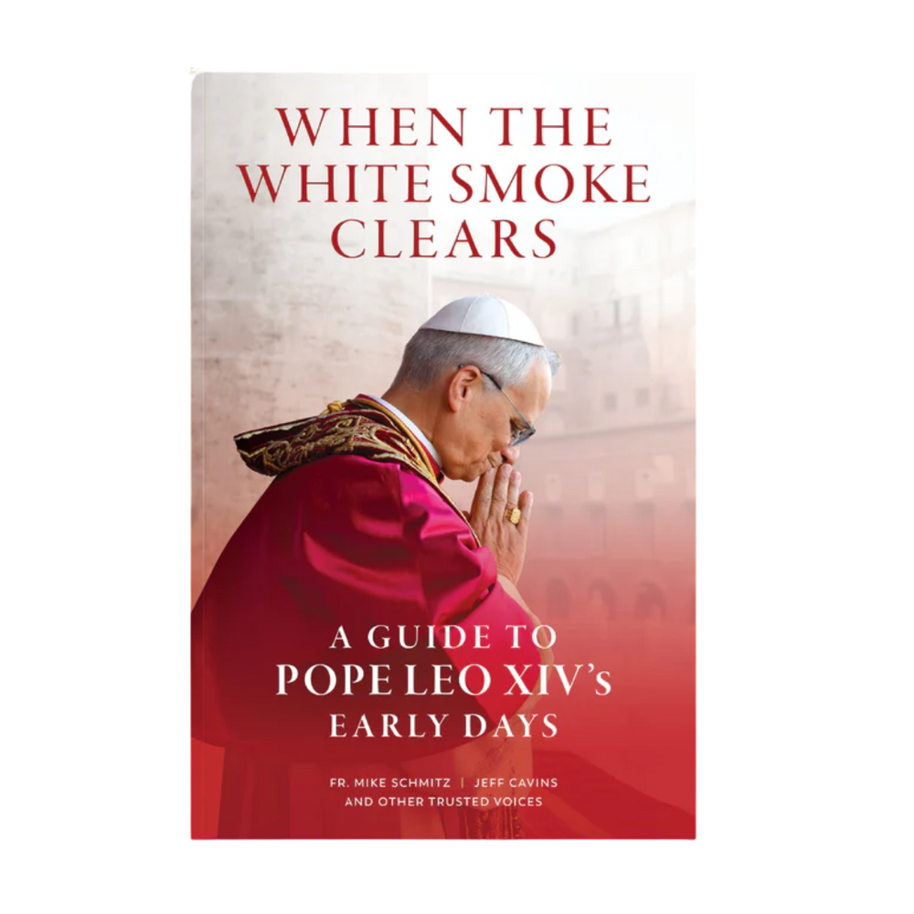 When the White Smoke Clears: A Guide to Pope Leo XIV's Early Days