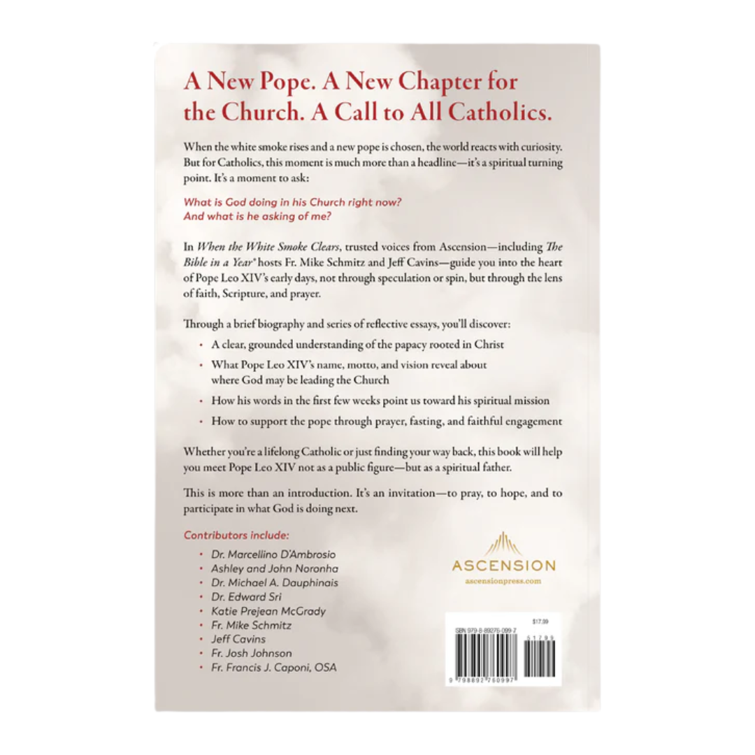 When the White Smoke Clears: A Guide to Pope Leo XIV's Early Days