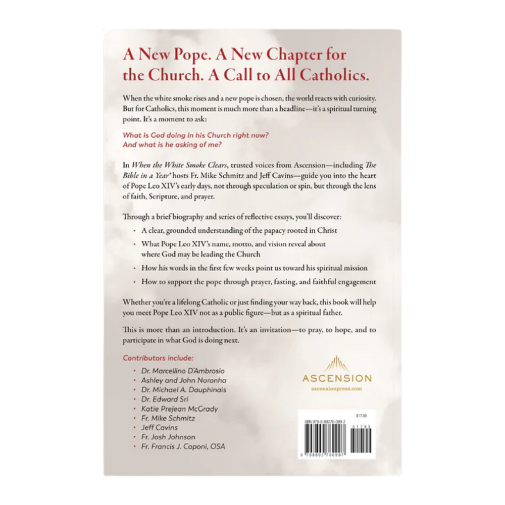 When the White Smoke Clears: A Guide to Pope Leo XIV's Early Days