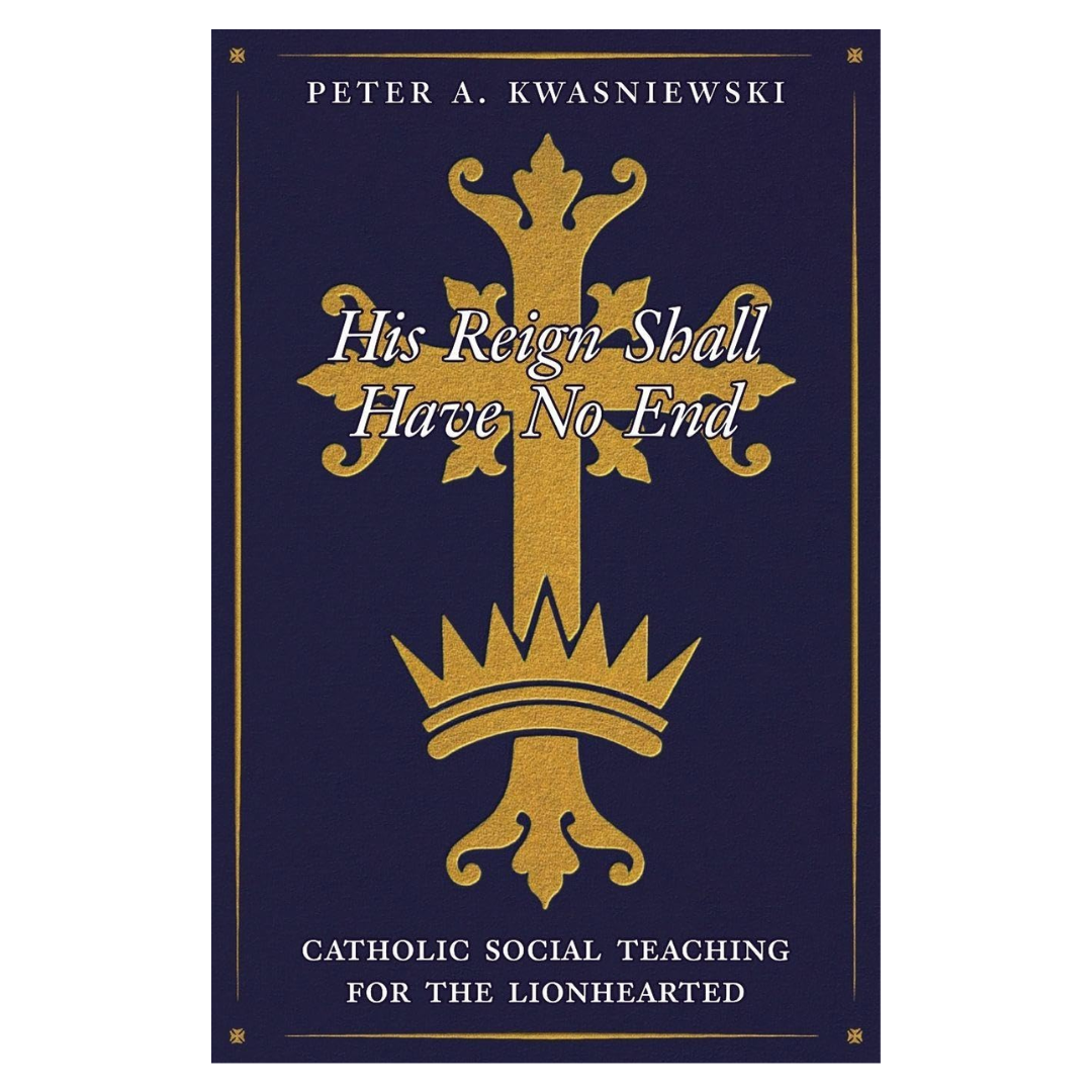 His Reign Shall Have No End: Catholic Social Teaching for the Lionhearted