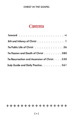 Christ in the Gospel - Rev. Joseph B. Frey