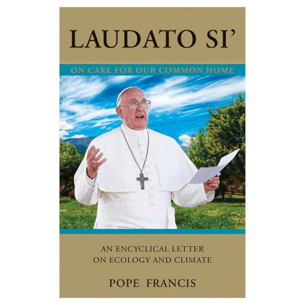 Laudato Si' (Praise Be to You): On Care For Our Common Home - JMJ Catholic Productsvariant