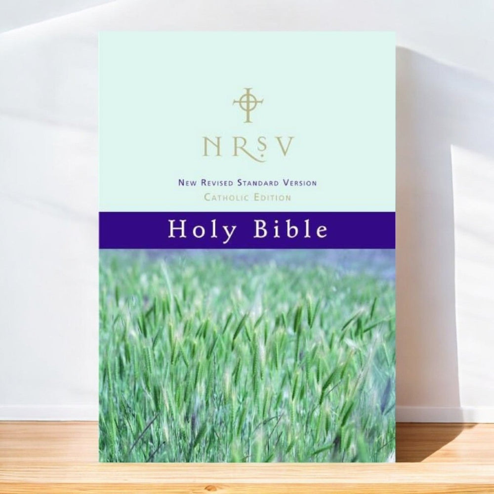 NRSV Catholic Edition Bible — Great Value - JMJ Catholic Productsvariant