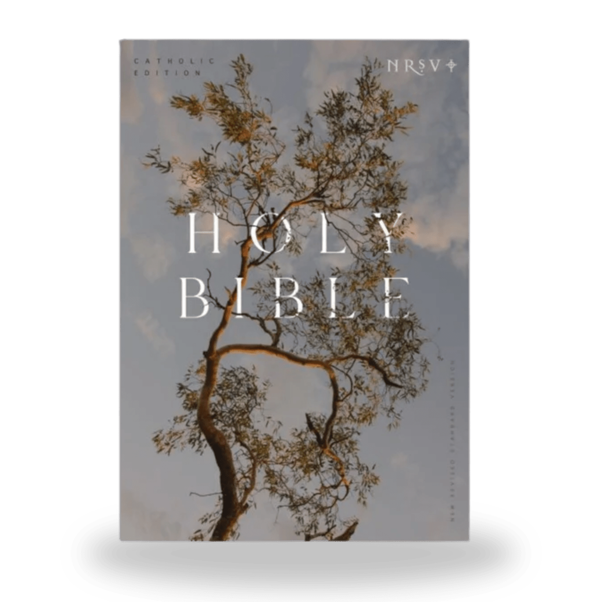 NRSV Catholic Edition Bible — Portable Everyday Bible - JMJ Catholic Productsvariant