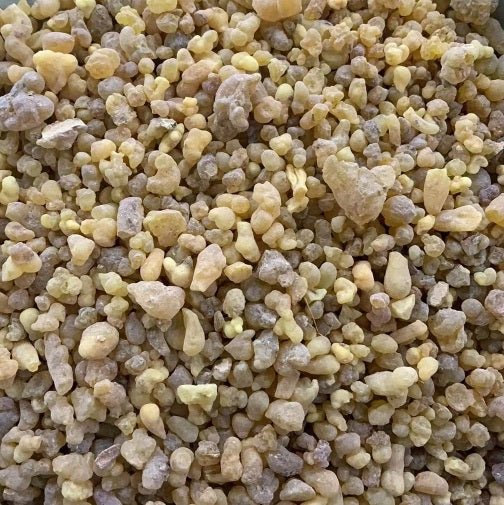 Pure Frankincense Resin — Sacred Incense for Prayer & Adoration (Various Weights) - JMJ Catholic Productsvariant