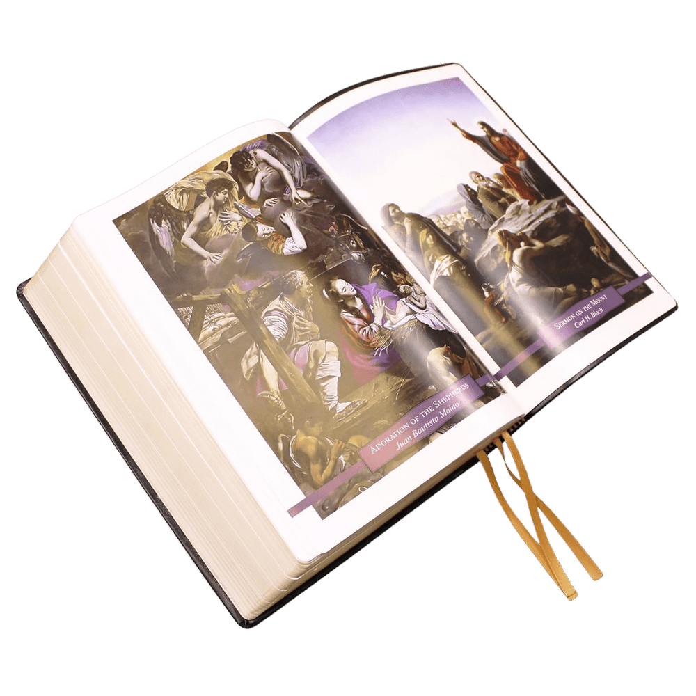 The Douay-Rheims Holy Bible — Large Print Deluxe Leatherette Edition - JMJ Catholic Productsvariant