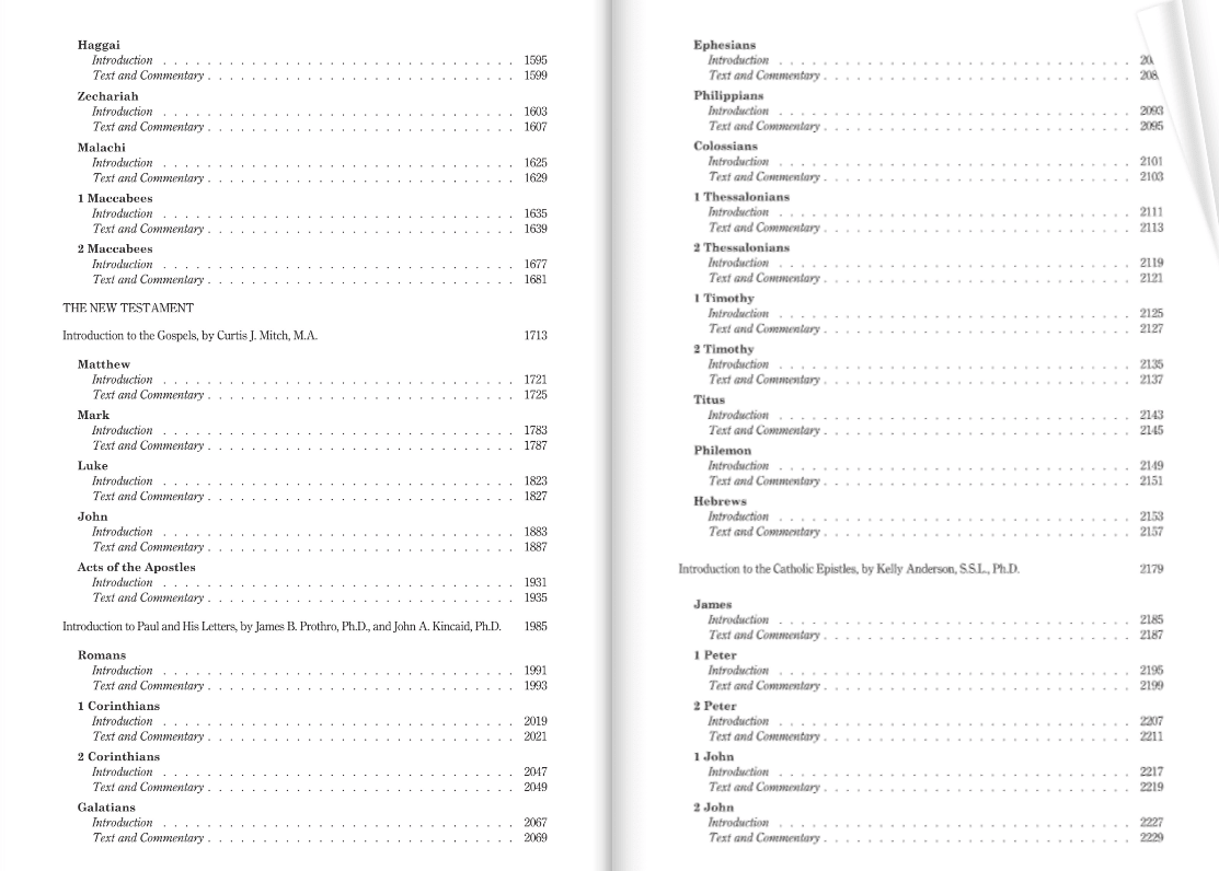 The Ignatius Catholic Study Bible — Complete Old & New Testament, Leather-Bound - JMJ Catholic Products#variant
