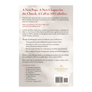 When the White Smoke Clears: A Guide to Pope Leo XIV's Early Days