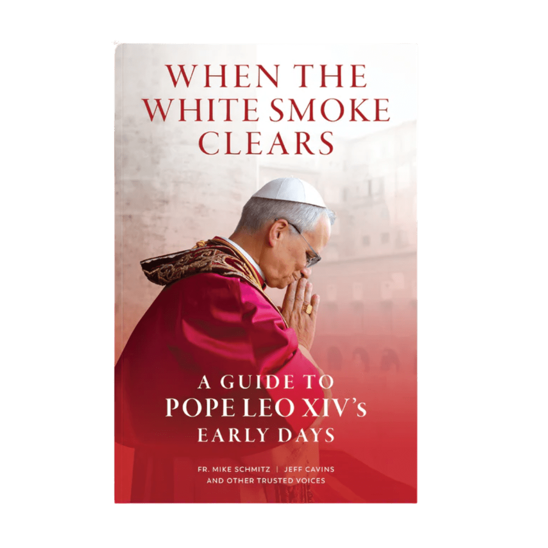 When the White Smoke Clears: A Guide to Pope Leo XIV's Early Days