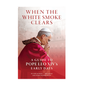 When the White Smoke Clears, a guide to Pope Leo XIV's early days