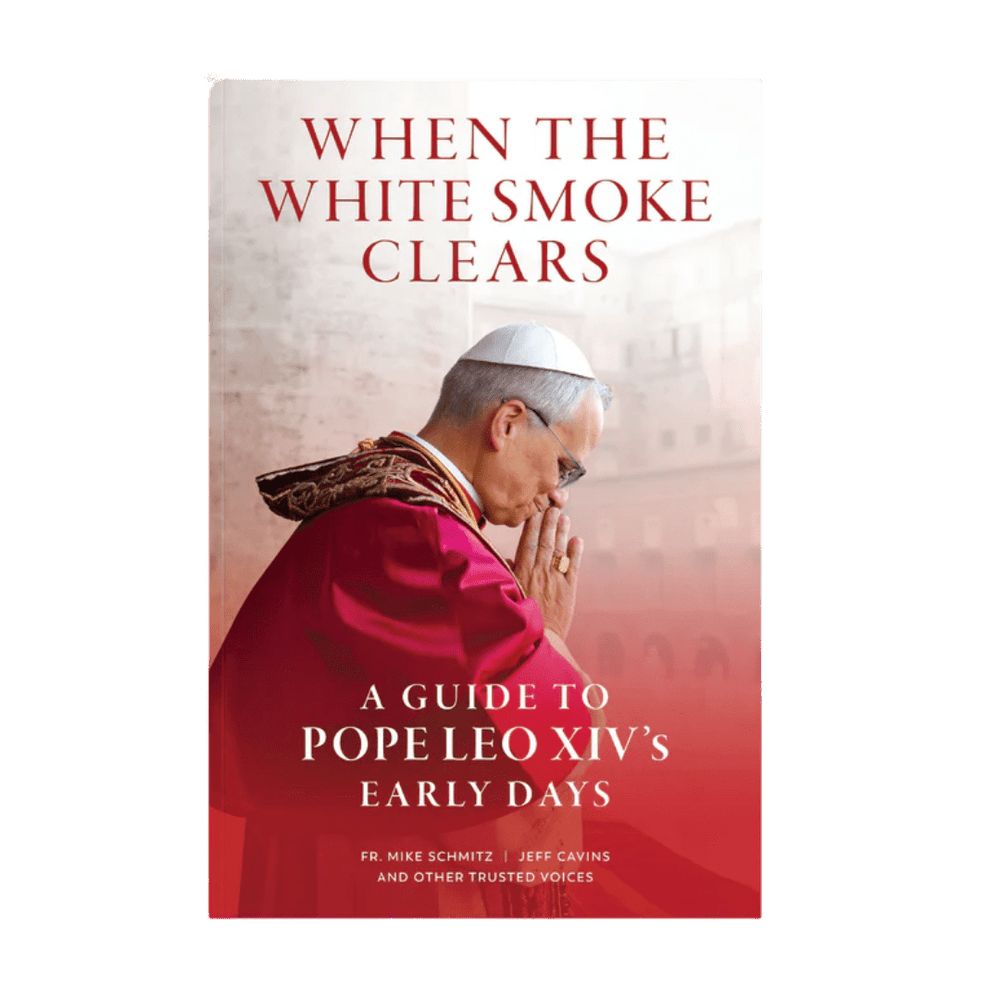 When the White Smoke Clears: A Guide to Pope Leo XIV's Early Days - JMJ Catholic Productsvariant