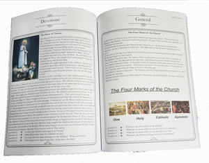 Catholic Faith Teaching Manual — Level 4: Pre-Confirmation (Age 11–12, Grade 5) by Father Raymond - image 3