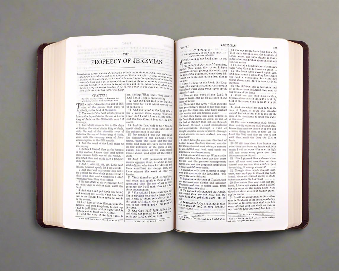 Douay-Rheims Holy Bible — Fine Deluxe Edition in Brown Leatherette - JMJ Catholic Productsvariant
