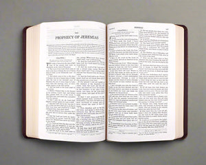 Douay-Rheims Holy Bible — Fine Deluxe Edition in Brown Leatherette - image 3