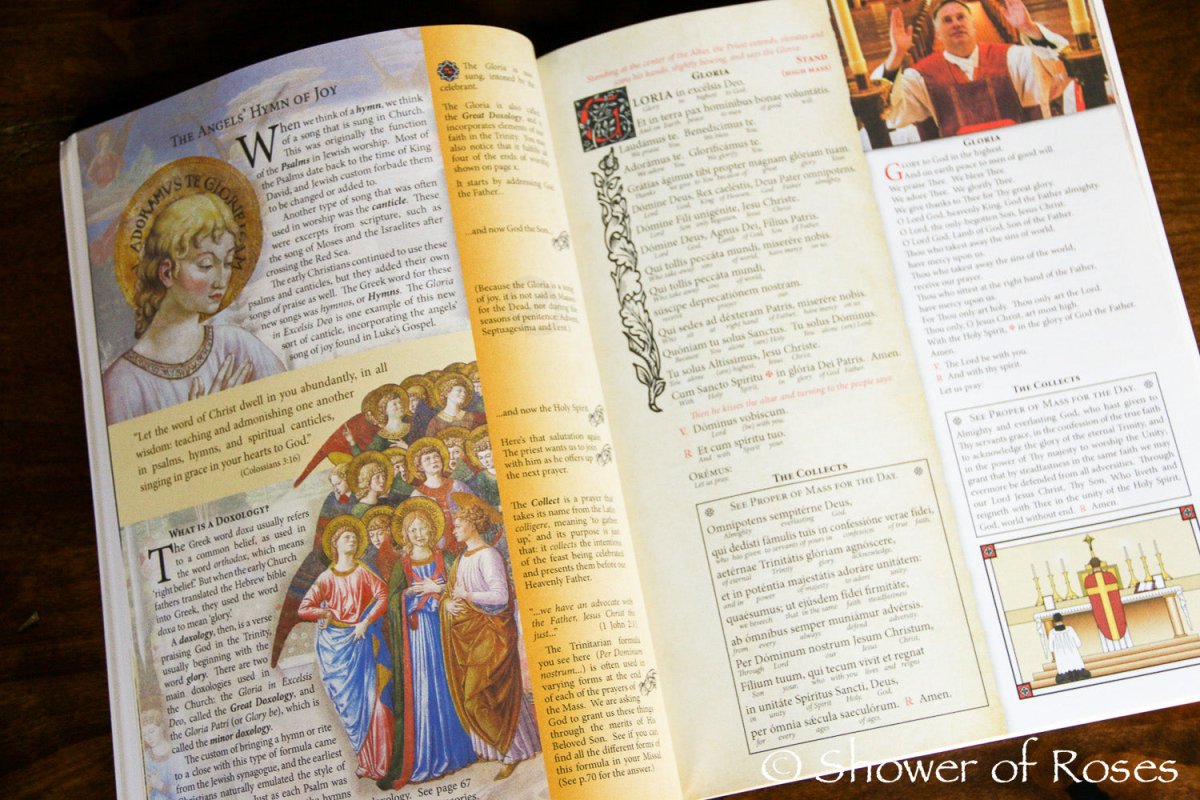 Treasure and Tradition, The Ultimate Guide to the Latin Mass (Hardcover) - JMJ Catholic Products#variant
